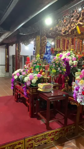 Văn cô bé trên ngàn ❤️❤️❤️