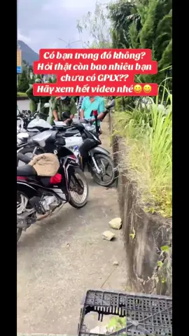 Hỏi thật là con bao nhiêu bạn chưa có giấy phép lái xe ạ?? #tiktoklive #TikTokAwardsVN #vuicungtiktok #viral #bằnglaixea1 