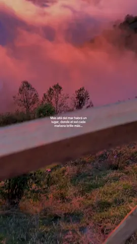 Simplemente hermoso🤍