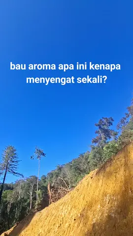 Baunya sangat menyengat🤭😅 #operator_excavator #pejuangrupiah #fyppppppppppppppppppppppp 