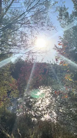 Wild Heart ❤️ Green Soul 💫 #nature #photography #mountains #peace #Hiking 