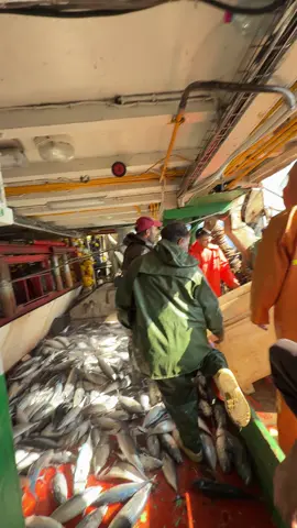 Cap serrat2#mo819#الحمدالله_علی_کل_حال❤ #tunisia🇹🇳 