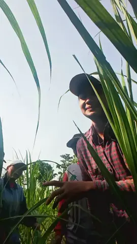 hiburan dulu ya geeesss😆