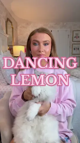 I’M CONCENTRATING SO HARD HELP LOL😭 Me making Lemon dance is making me crack up😂 #ragdoll #swiftie #ragdollcat #funnycat #catsoftiktok 