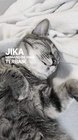 #liriklagu #sad #music #liriklaguviral #lyrics 