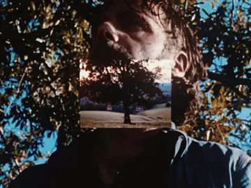 no debate the show should've ended right here. // scp: 411 #TWD #fyp #foryoupage #aesthetic #thewalkingdead 