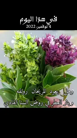 #في هذا اليوم