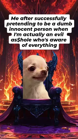 😈 Follow for more evil and funny memes  #diabolical #relatable #evildog #memes #chihuahua 