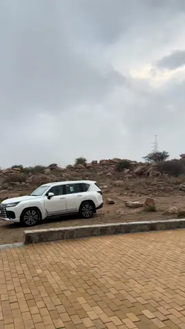 #مالي_خلق_احط_هاشتاقات #لكزس 😎😎