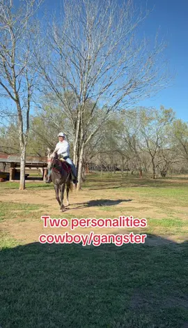 #fypシ #dadsoftiktok #cowboy #countryboy  what you get with this libra 