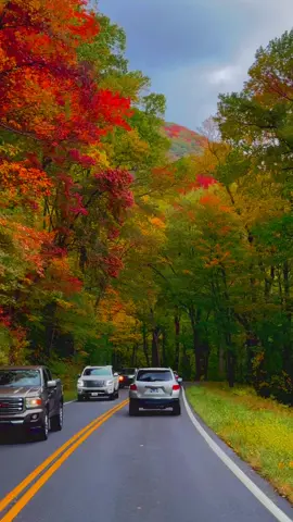 Scenic routes in the Great Smoky Mountains National Park #fallcolors🍁🍂 #roadtripusa #travel #smokymountainsnationalpark #roadtrip 