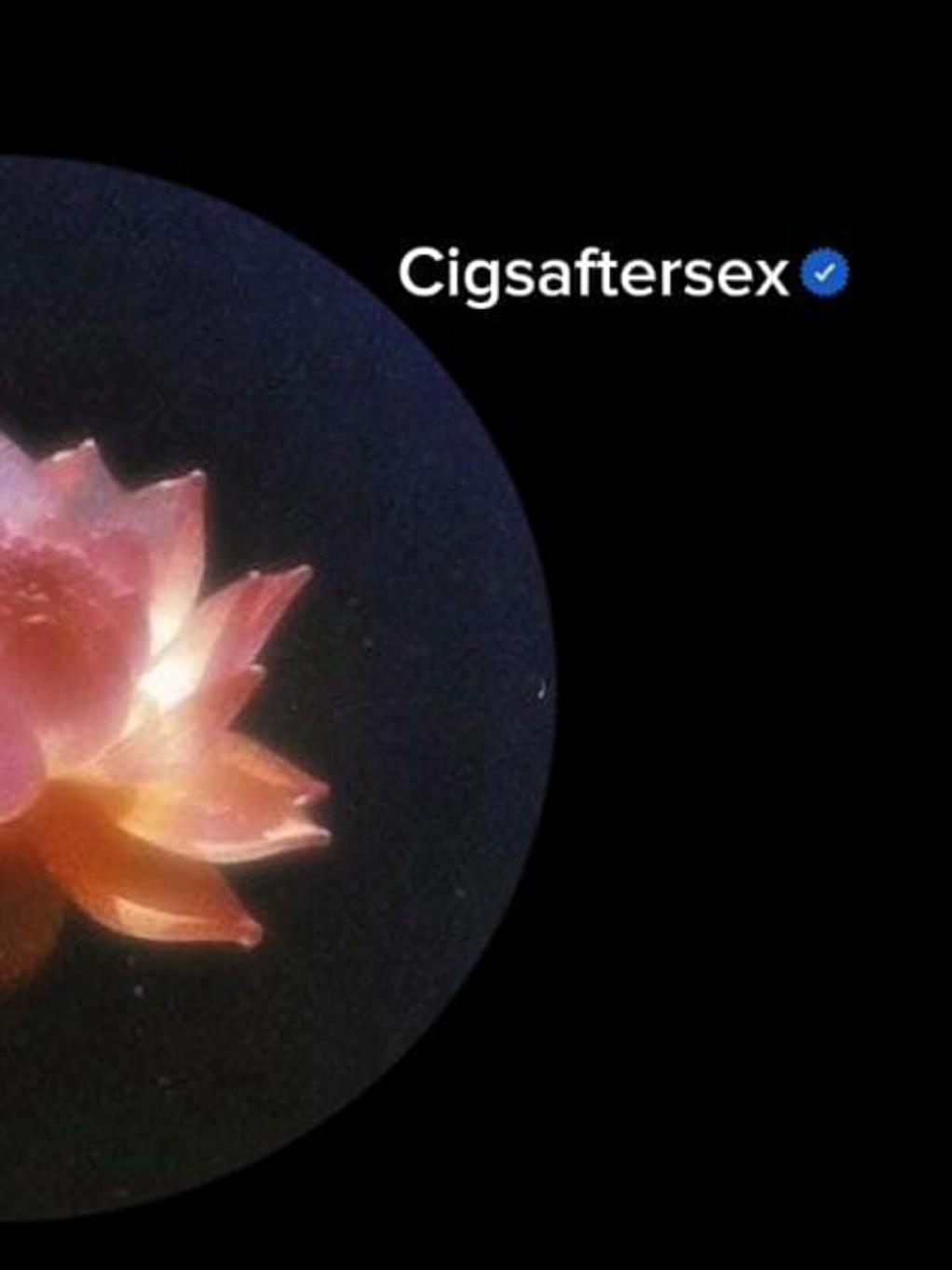 Cry #cigarretesafterxs #cas #cry #lyrics #riverasong 