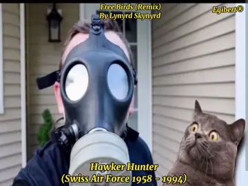 The Hawker Hunter is a classic British transonic jet-powered fighter aircraft developed for the Royal Air Force (RAF) in the late 1940s and early 1950s. Known for its exceptional performance and graceful design, it was the first high-speed jet with radar and fully powered flight controls to go into widespread service with the RAF.  The Hunter proved highly successful and was widely exported, serving with 21 overseas air forces, including those of India, Sweden, Switzerland, and Chile. Nearly 2,000 units were manufactured by Hawker Aircraft and its successor, Hawker Siddeley. It saw extensive comb4t in various global conflicts, notably the Suez Crisis, the Aden Emergency, and the Indo-Pakistani W4rs of 1965 and 1971, where it proved an effective and rugged ground-attack platform. The Swiss Air Force operated the Hawker Hunter from 1958 until its retirement in 1994, with a total of 160 aircraft in service. Initially acquired as an interceptor to replace de Havilland Vampires, it later transitioned primarily to a ground-attack role, and was a key aircraft for over 30 years before replaced  by more modern aircraft like the Northrop F-5E Tiger II and Dassault Mirage III. Due to the small size of the country and potential unserviceable airstrips, Swiss Air Force jets, including the Hunter, practiced take-off and landing exercises on adjacent highways. Many retired Swiss Hunters were conserved, and several are still flying today as warbirds or are used by private contractors (e.g., Hawker Hunter Aviation) for military training and trials work, simulating adversary aircraft for various NATO air forces.
