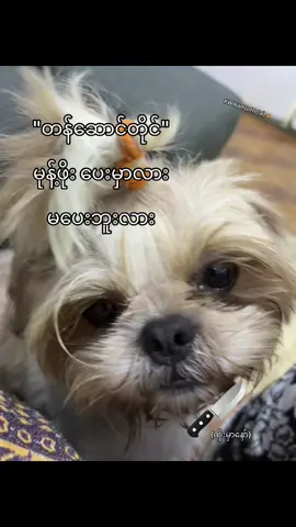 လိုချင်လို့ပြောတာနော်🤌🏻#fyp #tiktok #williamofficial #foryoupage #student 