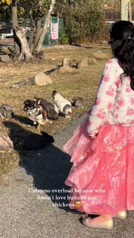 My favorite part about my neighbor is the cute rabbits and chickens that live and roam freely without fear in our park ✨ #ilovenewyork #fypシ #fyp 
