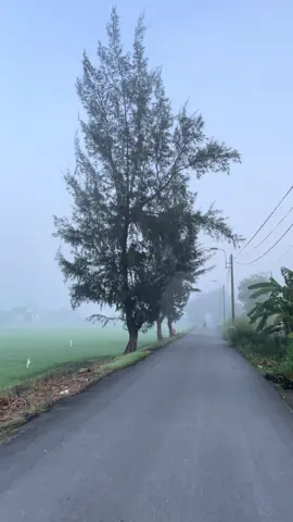 Vlog “Chốn quê yên bình” vùng ngoại ô xã Tân Nhựt nơi chữa lành bao tâm hồn 🌾🌾🌾#fyp #huyenbinhchanh #xatannhut #chualanh #quehuong 