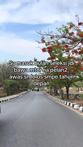 Hati2🤣#promomakanharian #nttpride🏝🔥 #natalsudekat #pelanpelanpaksopir #promoseruweekend 