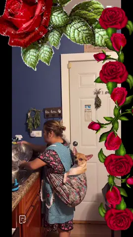 #LIVEIncentiveProgram #SideHustleLIVE #PaidPartnership 