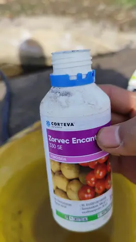 tulung iki wes gak ramah dompet😭😭😭 #masukberanda #fyppppppppppppppppppppppp #petanimuda #petaniindonesia🇮🇩🇮🇩🇮🇩🌿🌿 #panenmakmur 