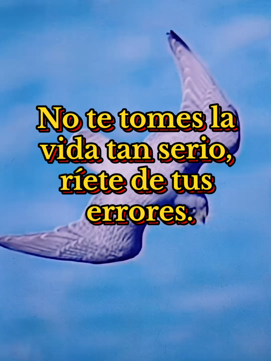 frases motivación mi frase de hoy no te tomes la vida tan enserió #frases #motivacion #la #vida #paratiiiiiiiiiiiiiiiiiiiiiiiiiiiiiii 