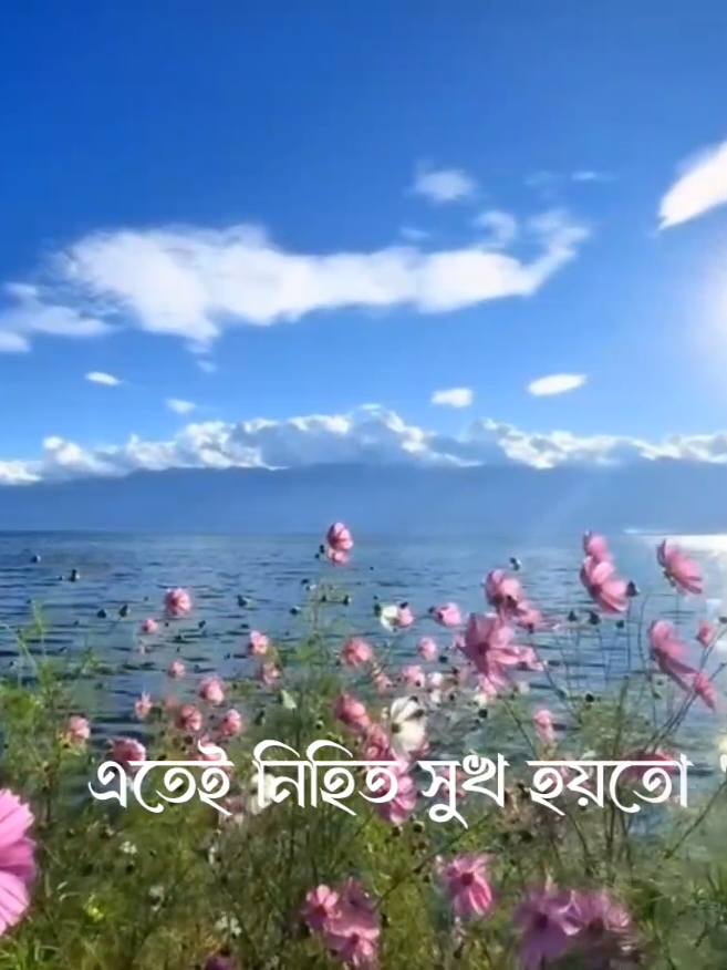 দুঃখ আমার সাথে আছে..🤗 ..... #lyricsvideo #fyp #foryou #mymensingh #rana_9x84 