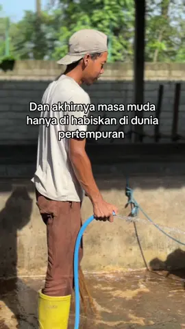 #perternakmuda #peternaksapiindonesia #sobatngaret #kediri24jam #fypシ゚ 