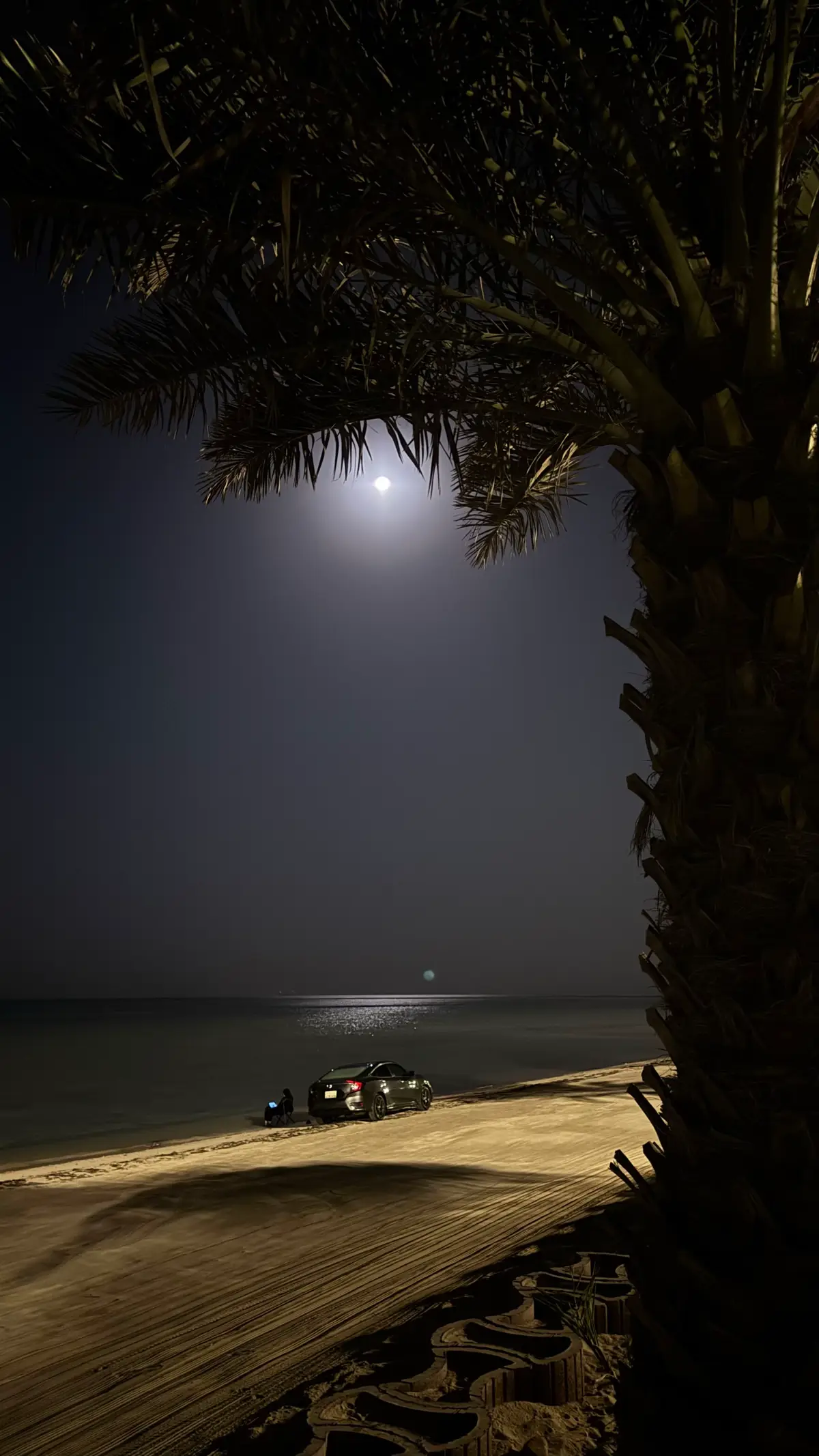 #الشعب_الصيني_ماله_حل😂😂 #جدة #ينبع_المزه #اكسبلورexplore #اكسبلورexplore 