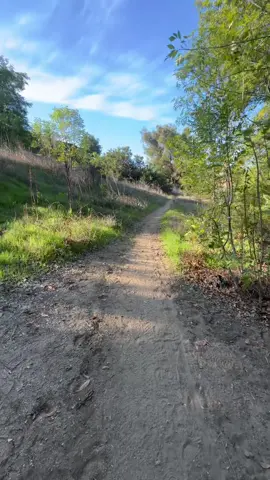 Starting the week strong! 🙌🏻 #mondayhike #workout #cardio #gastricsleeve 
