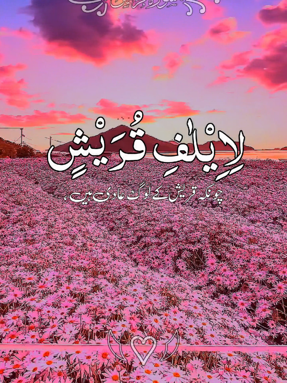 #القران_الكريم #ارحمنا_برحمتك_ياارحم_الراحمين #ماشاءالله_تبارك_الله #foryoupage❤️❤️ #growmyaccount @TikTok @tiktok creators @TikTok UK 