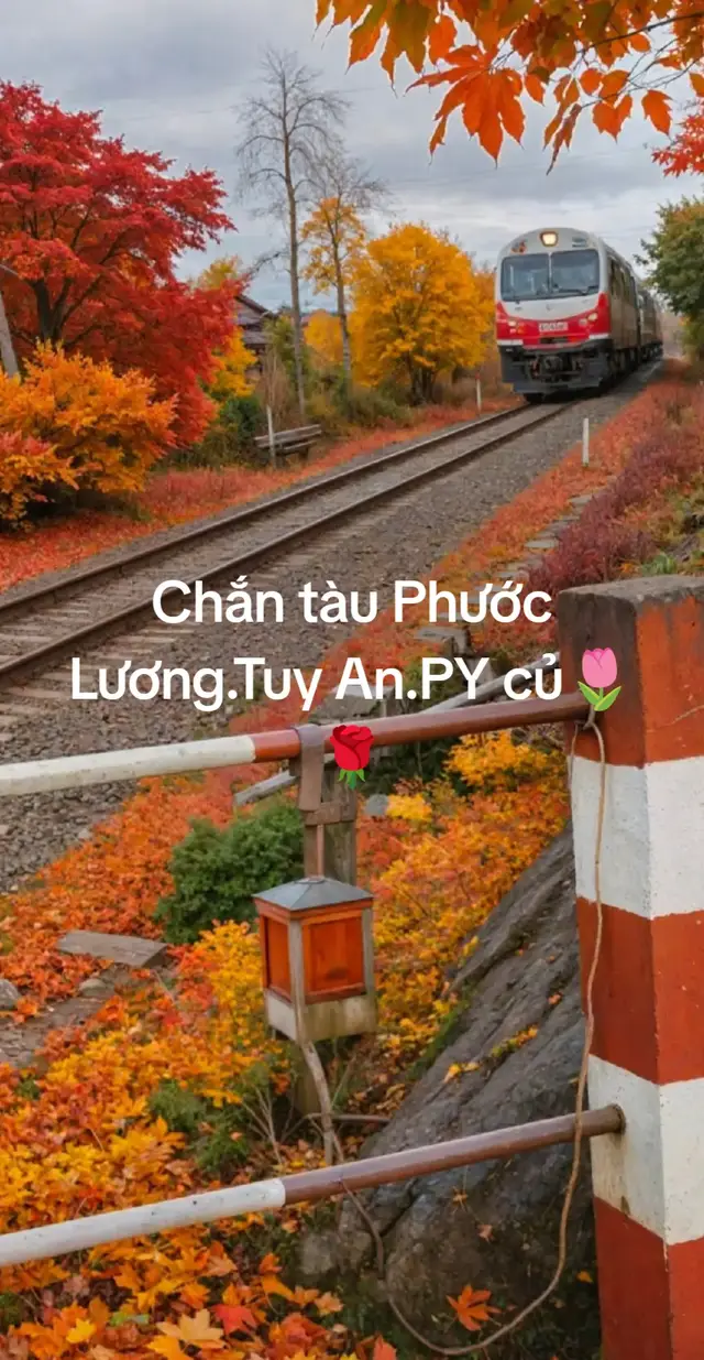 #❤️ 🌹##Ck .Cúc tàn vì ai 🌷🥹🥹##