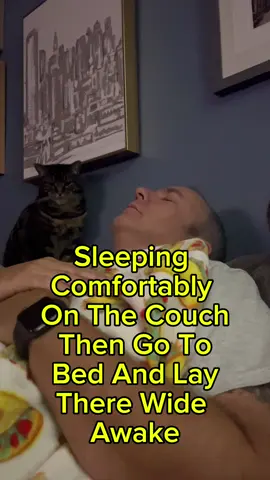 Sleep on the couch #sleep #cat #bed #couch #shlater 