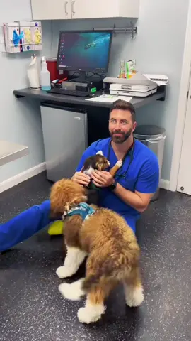 Making friends daily! #drtom #veterinarian #puppy #puppiesoftiktok #animalwhisperer @Clove Shoes 