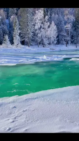 Bạn đã sẵn sàng đến vùng đất Tân Cương vào mùa đông chưa ?? #xuhuong #viral #tiktoknews #trending #china 