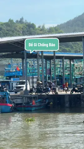 Trước giờ cơn bão số 13 đổ bộ vào Bình Định. Người dân đang gấp rút đưa tàu thuyền về nơi trú bão an toàn & thu hoạch những gì còn xót lại#degi#quynhon#muabaomientrung#varal#binhdinh 