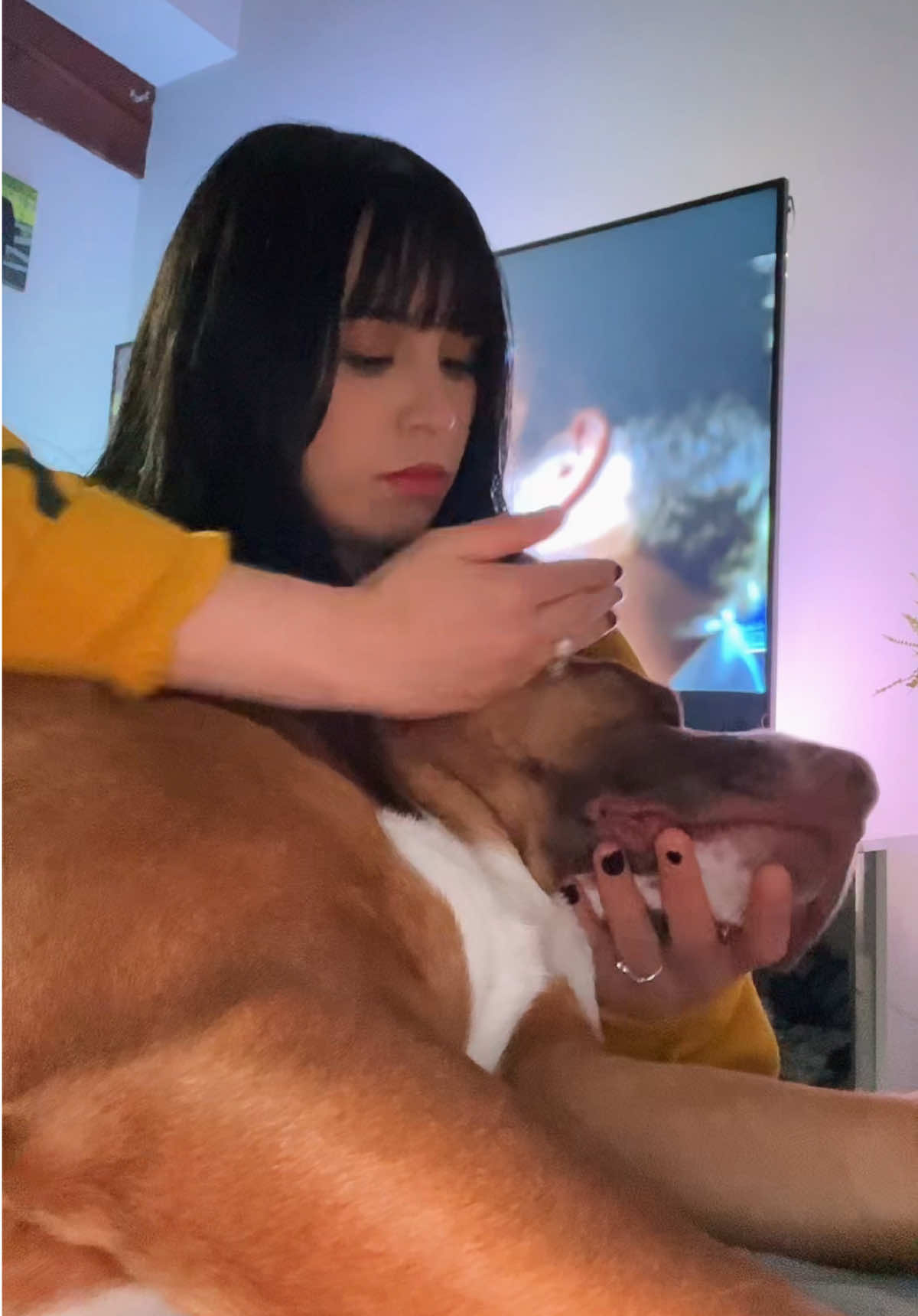 Why does he smell so good though 😭 #addictedtoyou #yoyobooh #dogsmelltest #dogmomlife #yoyosvibe 