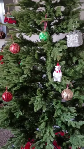 #scentsicles #wearerocky @scentsicles @wearerocky #MayEarnRockyDollars