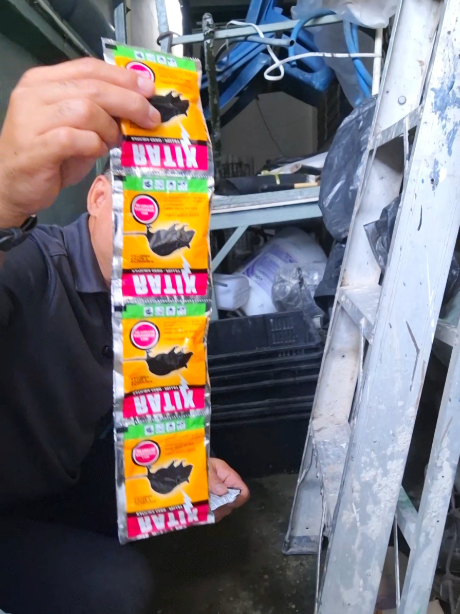 บ้านรกๆ มีหนู #เหยื่อหนู #ยาเบื่อหนู #ขนมเหยื่อหนู #tiktokshopช้อปกันวันเงินออก 