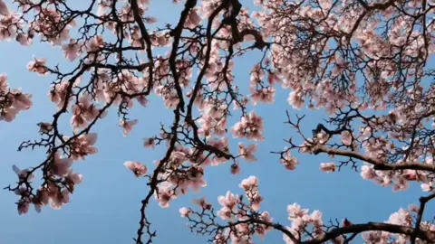 Ies signe qui montre que une femme voudrait de l'intimité avec toi#Relationship #confianceensoi #videoviral #fyp #developpementpersonnel 