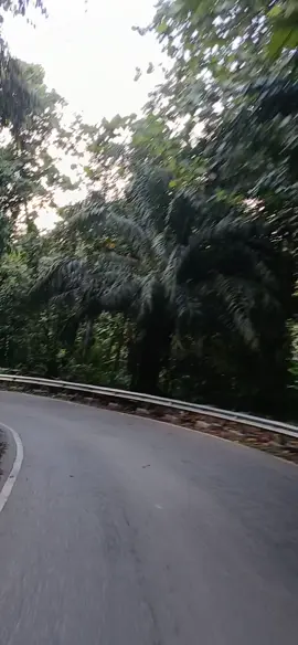 suka dengan lagunya🥰#jalanjalan #lintasprovinsi #desalano #perbatasan 