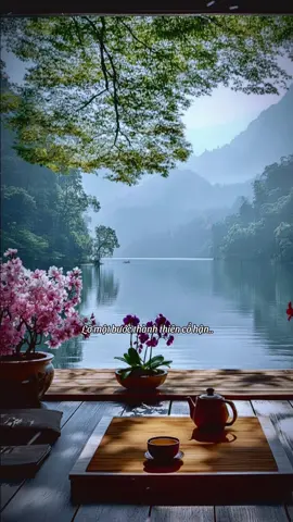 #CapCut Lỡ một bước thành thiên cổ hận #nhactamtrangbuon1233 #tamtrang #nhactamtrang #nhachaymoingay 