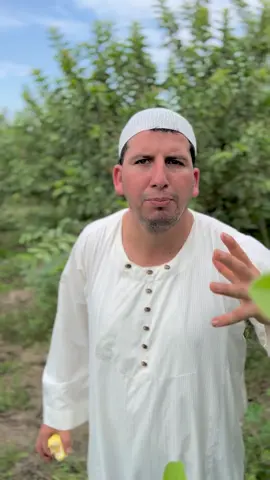 هدخل ابني طب