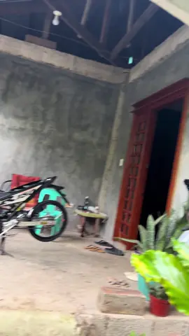 #fyp #salvatoreRfi #raiderfithaiconcept🇨🇷 