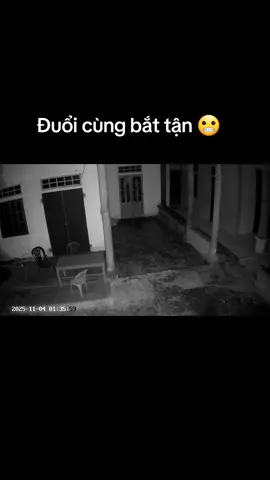 Đuổi cùng bắt tận 😬 