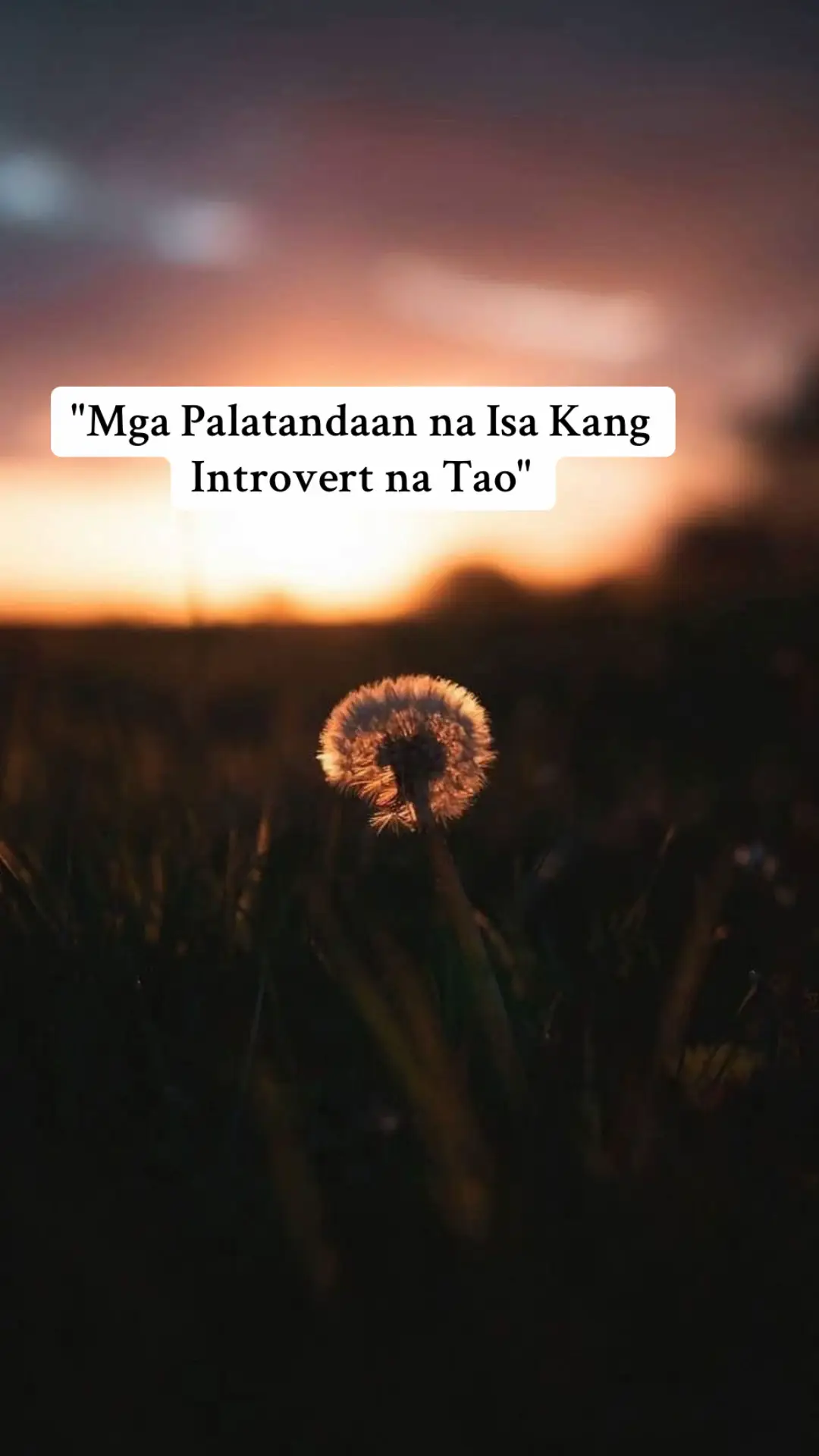Mas gusto mong mag-isa kaysa sa mataong lugar Hindi ka naman anti-social, pero mas komportable ka kapag mag-isa ka o kasama lang ang iilang taong malapit sa’yo. Kailangan mo ng “recharge time” pagkatapos ng social gatherings Kapag galing ka sa party o meeting, madalas gusto mo munang mapag-isa para makapagpahinga at makabawi ng energy. Mas gusto mo ang deep conversations kaysa sa small talk Hindi mo gusto ang mababaw na usapan tulad ng “ang init ng panahon” — mas interesado ka sa makabuluhang topic gaya ng buhay, damdamin, o mga pangarap. Tahimik ka sa umpisa pero madaldal sa mga taong comfortable ka Sa mga hindi mo kilala, reserved ka. Pero sa mga taong pinagkakatiwalaan mo, lumalabas ang totoo mong kakulitan at humor. Mahilig kang mag-reflect o mag-isip ng malalim Mahilig kang magmuni-muni — iniisip mo kung tama ba ang mga desisyon mo, kung ano ang nararamdaman mo, o kung paano mo mapapabuti ang sarili mo. Mas gusto mong gumugol ng oras sa mga tahimik na gawain Gaya ng pagbabasa, pagsusulat, panonood mag-isa, o paglalakad nang walang kasama. Naiirita ka kapag napapalibutan ng sobrang ingay o maraming tao Hindi dahil suplado ka, pero mabilis kang ma-overwhelm sa sobrang social stimulation. Pili ka sa mga taong pinapasok mo sa buhay mo Hindi ka madaling magtiwala o magbukas ng emosyon. Para sa’yo, “quality over quantity” pagdating sa kaibigan. Mas gusto mong magsulat o mag-chat kaysa makipag-usap nang harapan Mas madali mong nailalabas ang saloobin mo kapag sinusulat mo, kaysa sabihin kaagad nang direkta. Marunong kang mag-enjoy kahit mag-isa Kaya mong lumabas, manood ng sine, o kumain mag-isa — at hindi mo ito nakikitang nakakalungkot.