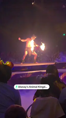 Festival of the Lion King 🦁 #lionking #simba #animalkingdom #musical #disney