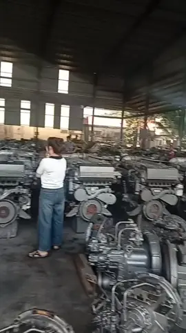 bữa này đại ca đi săn cọp về đội nhe ae..#xuhuong 