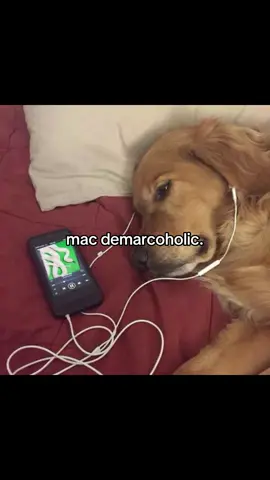 Mac demarco my goat 🥹🥹#fyp#macdemarco #music #trending #fyppppppppppppppppppppppp 