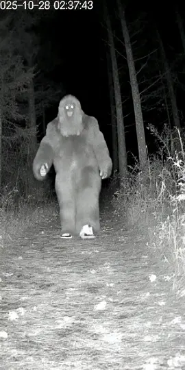 #bigfoot #sneakers #sneakerhead 