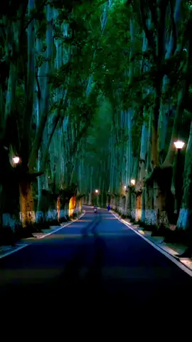 In every verse, a man’s heart whispers what his lips cannot say