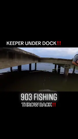 #onthisday throw back under the dock! What a cast! #903fishing #fishingtiktoks #fyp #crappiefishing 